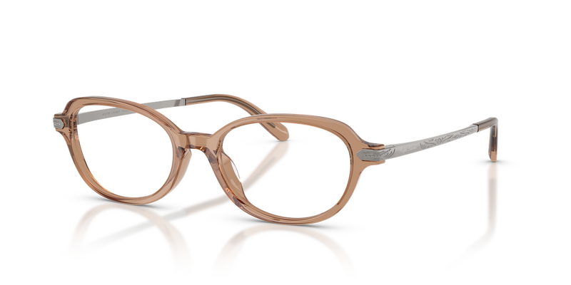 Ralph Lauren RL6269U in Transparent Dusty Brown - Alternate View