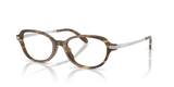 Brown Oystershell / Demo Lens (6378)