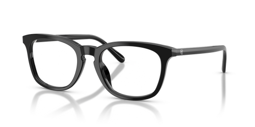 Shiny Black / Demo Lens (5001)