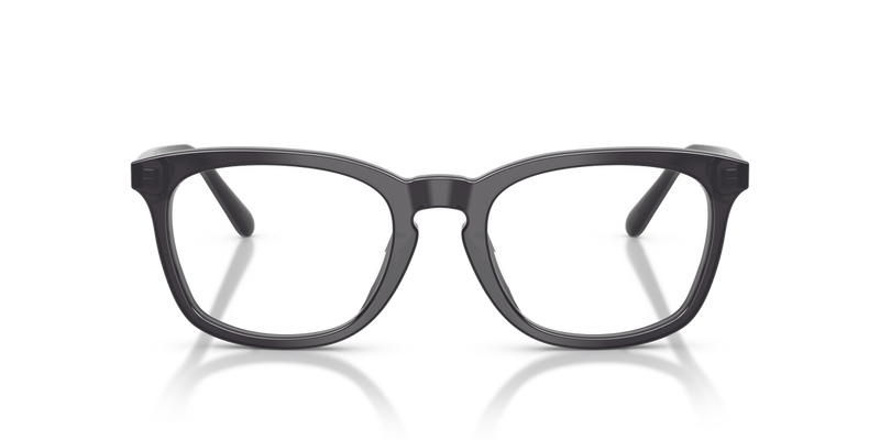 Ralph Lauren RL6270U in Transparent Dark Grey - Alternate View
