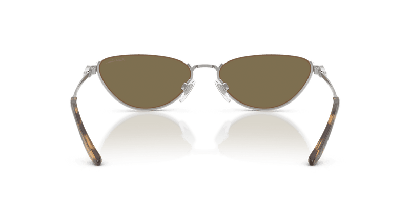 Ralph Lauren RL7095 in Shiny Silver / Light Brown (900173) - Alternate View