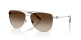 Shiny Silver / Gradient Brown (900113)