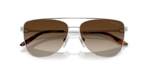Shiny Silver / Gradient Brown (900113)