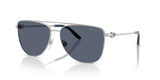 Shiny Silver / Dark Grey (900187)