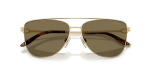 Pale Gold / Light Brown (911673)