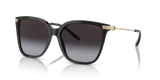 Shiny Black / Gradient Grey (50018G)