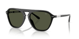 Shiny Black / Green (500131)