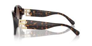 Dark Havana / Brown Gradient (500313)