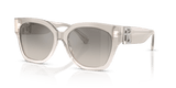 Transparent Gray / Grey Gradient Flash (611208)