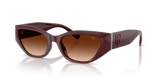 Bordeaux / Gradient Brown (551674)