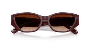 Bordeaux / Gradient Brown (551674)