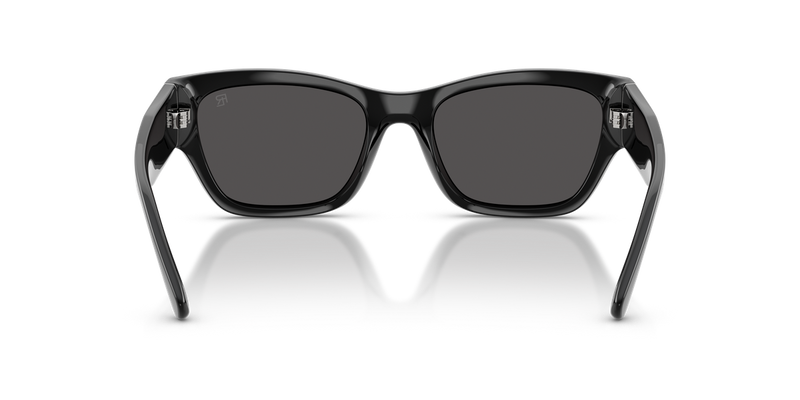 Ralph Lauren RL8240U in Black - Temple Detail