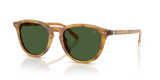 Shiny Tortoise Light Brown / Bottle Green (618571)