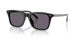 Shiny Black / Purple (50011A)