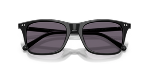 Shiny Black / Purple (50011A)