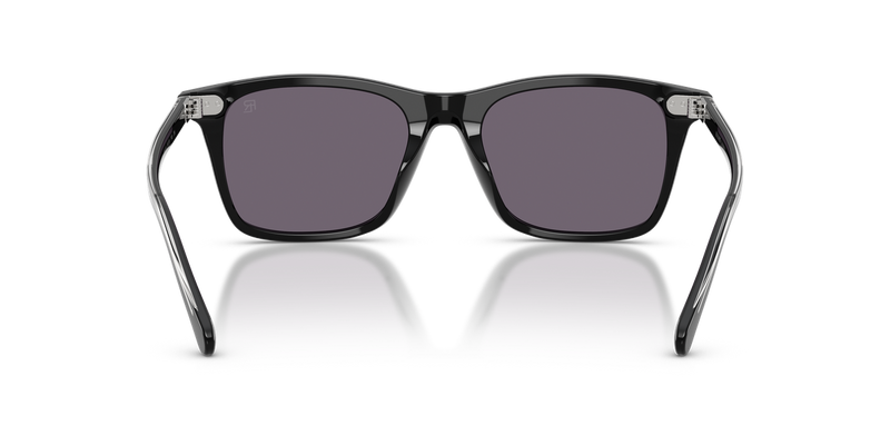 Ralph Lauren RL8242U in Shiny Black - Temple Detail