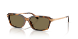 Havana / Brown (608973)
