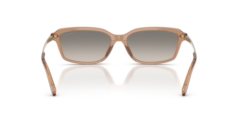 Ralph Lauren RL8245U in Transparent Dusty Brown - Alternate View