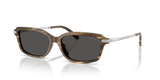 Brown Oystershell / Grey (637887)