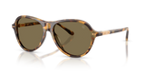 Spotty Havana / Brown (633973)