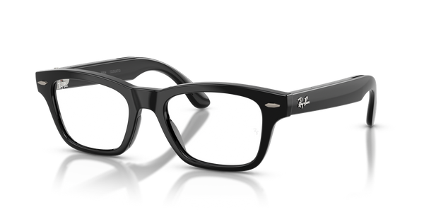 Ray-Ban Meta Audio Burbank Optics