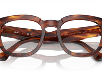 Striped Havana / Clear (2144)