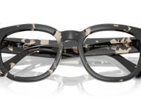 Grey Havana / Clear (8117)