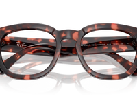 Pink Havana / Clear (8118)