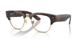 Tortoise On Gold / Clear (2372)