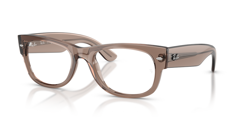 Ray-Ban MEGA WAYFARER II in Transparent Taupe Beige - Alternate View