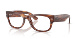 Striped Havana / Clear (2144)