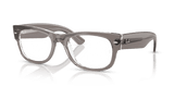 Transparent Grey / Clear (8111)