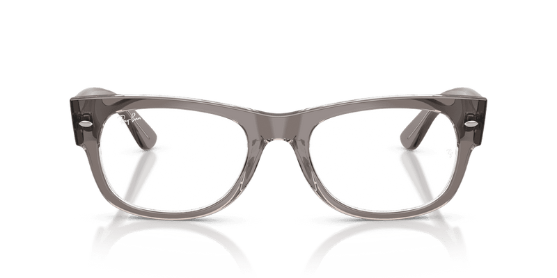 Ray-Ban MEGA WAYFARER II RX0832V in Transparent Grey / Clear (8111) - Alternate View