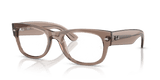 Transparent Taupe Beige / Clear (8457)