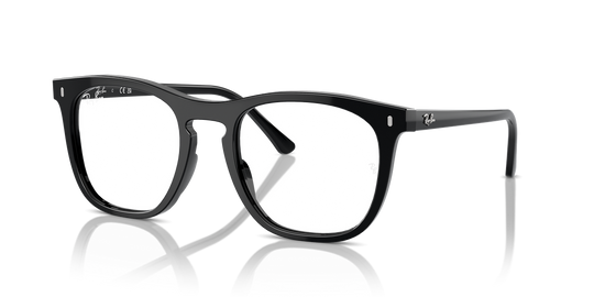 Ray-Ban RX2210V - Black / Clear (2000)
