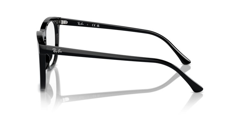Ray-Ban RX2210V in Black - Back View