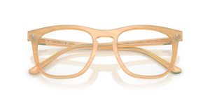 Photo Striped Brown / Clear (8383)