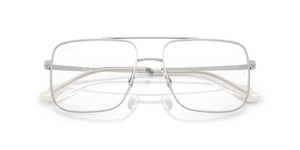 Silver / Clear (2501)
