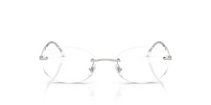 Silver / Clear (2501)