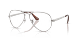Silver / Clear (2501)
