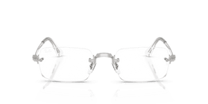 Silver / Clear (2501)