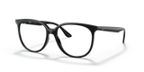Black / Clear (2000)
