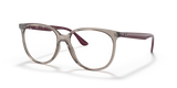 Transparent Grey / Clear (8083)
