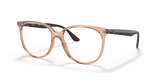 Transparent Brown / Clear (8172)