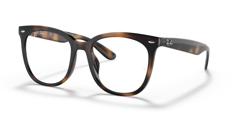 Ray-Ban RX4379VD in Havana - Alternate View