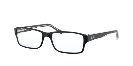 Ray-Ban RX5169 - Black On Transparent / Clear (2034)