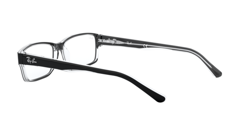 Ray-Ban RX5169 in Black On Transparent - Side View
