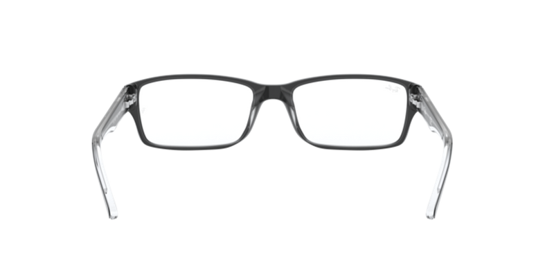 Ray-Ban RX5169 in Black On Transparent - Back View