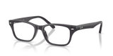 Transparent Dark Violet Grey / Demo Bio (5920)