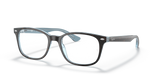 Havana On Light Blue / Clear (5883)